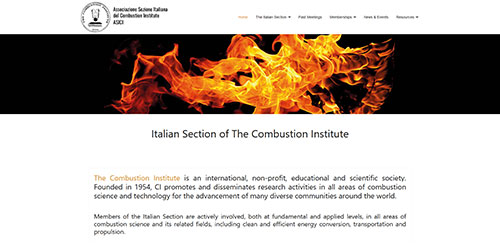 combustion institute.it